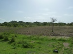 19284P1010130.JPG