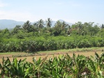 15429IMG_4296.JPG