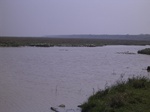 2881 046.jpg