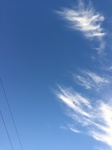 2020-11-07_06-56-53_2020-11-3-17-21-22.jpg