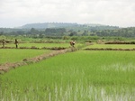 2012-09-07_10-07-08_CIMG6655.JPG