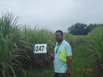 72130247b-irrigated-supplemental-groundwater-sugarcane-dominant-cotton.jpg