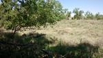 2017-06-05_15-53-43_GameTrail_COPU103_052717_West.jpg
