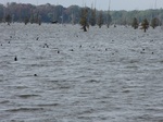 2012-09-10_20-51-37_AR-FK-2-4.JPG