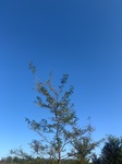 2020-10-04_17-07-23_2020-10-4-16-20-38.jpg