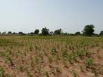 18952P1000796.JPG