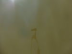 58485CIMG2935.JPG