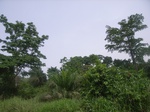 3769RIMG0073.JPG