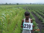 71890239c-rainfed-agriculture-mixedcrop-rice-cotton-sorghum.jpg