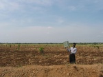 7949gt81a_cropland.jpg