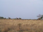 476501052008(30).JPG