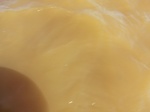 2012-09-21_14-26-48_CIMG0081.JPG