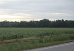 2022-05-26_12-49-37_B0EC1028-9353-47BC-98AA-5F645EEC707C_1_201_a.jpeg