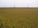 3209R0017243.JPG