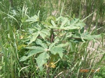 8854nigeria 061.jpg
