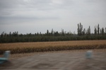 2019-10-16_11-58-28_4E8A3958.JPG