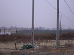 3359 011.jpg