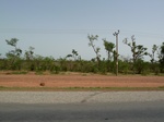 18964P1000808.JPG