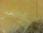 58101CIMG2395.JPG