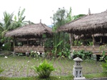 16385IMG_5169.JPG