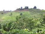 5505100_0872.JPG