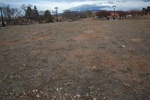 2017-02-24_12-08-42_Feb17-079-NM.jpg