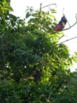 2012-10-17_20-58-43_423.JPG