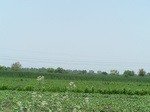 1763022042008(11).JPG