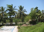 15438IMG_4314.JPG