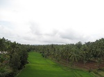 14255IMG_4595.JPG