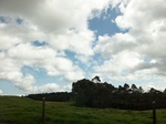 5713100_1287.JPG
