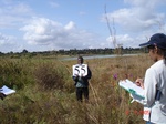 10636gt-055-wetland-swamp-valley-bottom-no-trees-01.jpg