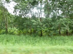20408P1020265.JPG