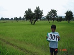 73960301d-rainfed-agriculture-rice.jpg