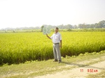 11283gt092-cropland-2.jpg