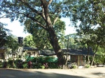 5773100_1368.JPG