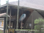 16531IMG_5317.JPG