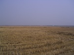 3113 046.jpg