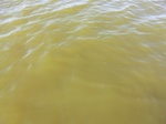2012-09-21_14-25-53_CIMG0035.JPG