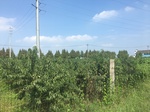 2017-09-12_14-04-27_DE342C51-3C75-4C65-9B8D-2FA7EDEFC519.jpg