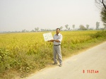 6550gt054-cropland-1.jpg