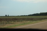 2022-05-26_14-05-26_693E08F3-6CDF-4C41-ACC1-873AF7CD7B81.jpeg