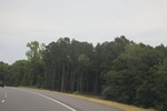 2022-06-11_17-54-56_CAEF9D44-3CE0-47B0-B655-D8E2C635F07E.jpeg