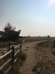 2017-09-04_10-59-44_1AE0E76E-E439-4A68-A063-3F6F6ECC4FC2.jpg