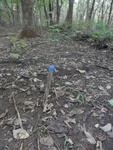 2012-09-24_10-40-17_DSC03061.JPG