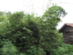 16406IMG_5191.JPG
