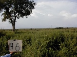 12148GT146_large_farming_abandoned.jpg