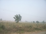 9160RIMG0241.JPG