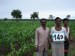 125490149a-irrigated-supplemental-groundwater-maize-dominant-vegetables-tomato-ladiesfinger-chilli-sugarcane.gif