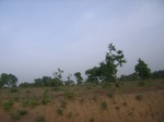 3844RIMG0148.JPG